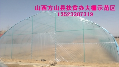 ǿϴǼܻӦ