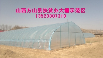 Ǽֲܻ߲