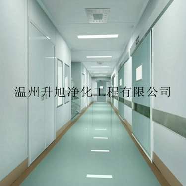 ӦݩʮʳƷ޳