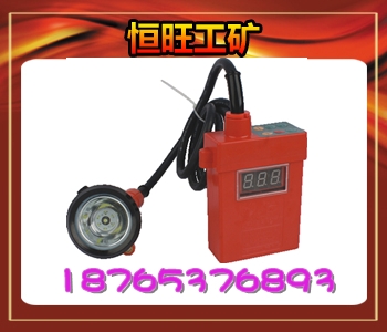ʽ鱨
