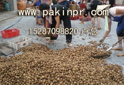 深圳核桃价格(深圳核桃价格)