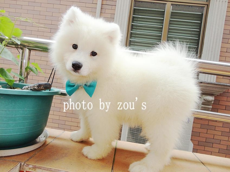 ݸĦҮĦҮ