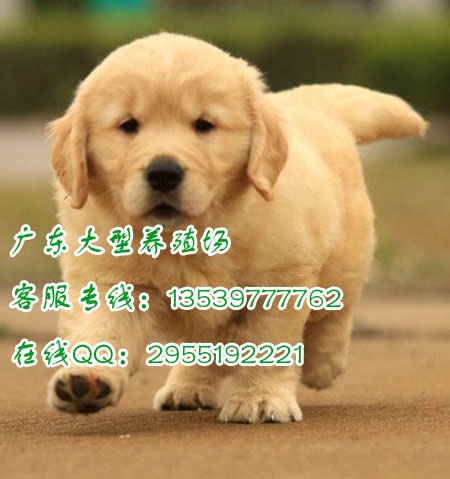 йᴿֽëǮ