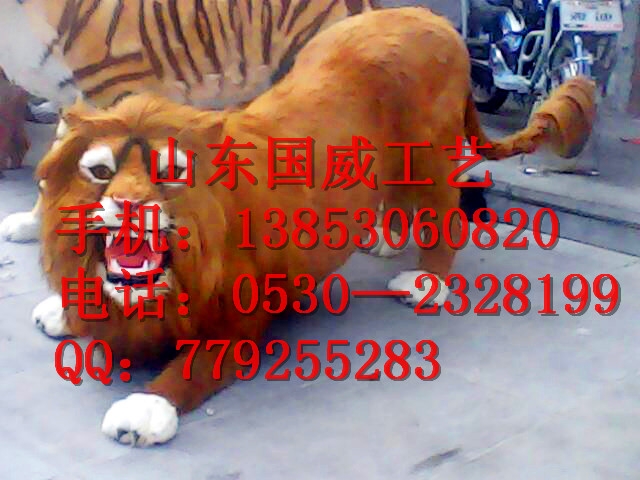 ʨ(0232)