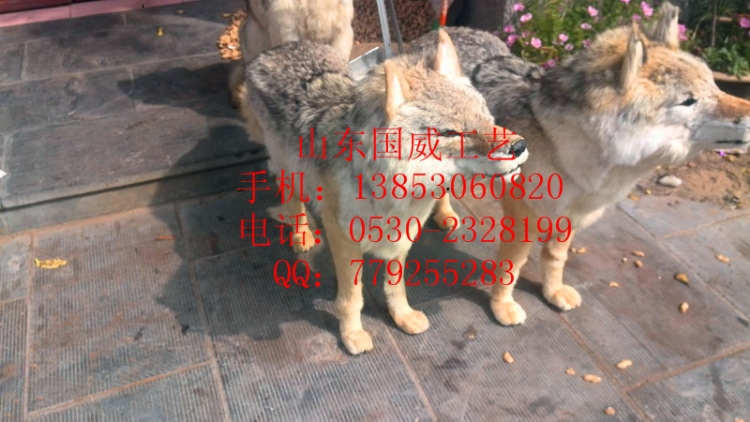 (012312)