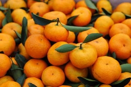 2013ӦϷ۽ۣϷṱ