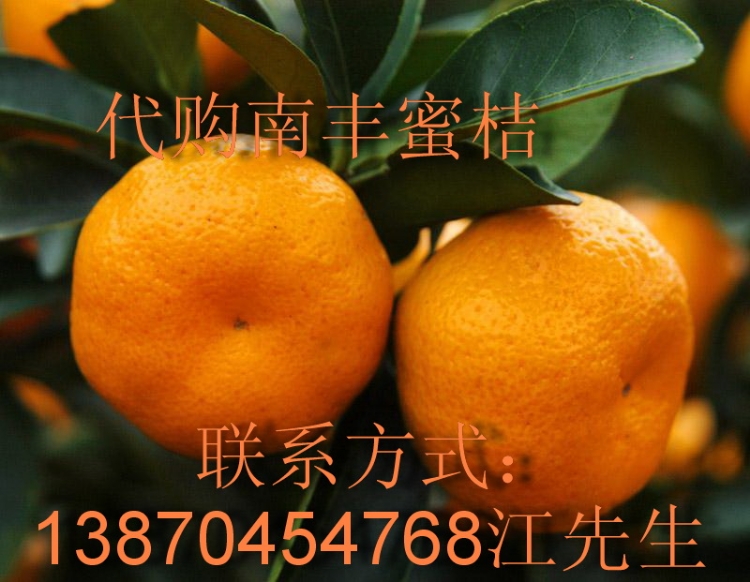 ӦϷ۽(Ϸ۽)