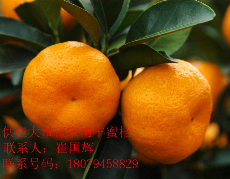 ӦϷ۽