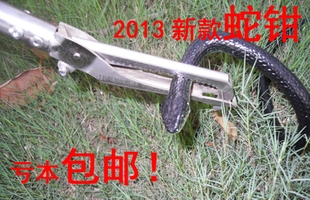 ǯ߼ץ߹
