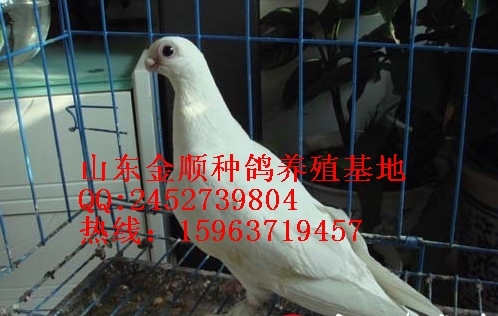 ͸룿