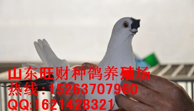 ͸룿