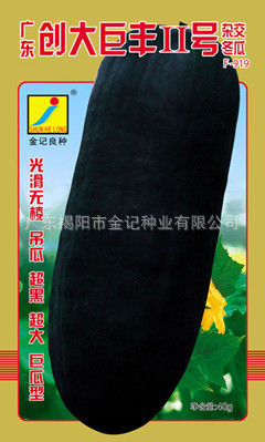 㶫޷IIŶF-919