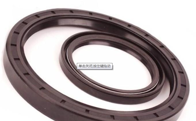 ͷ⣨OILSEAL