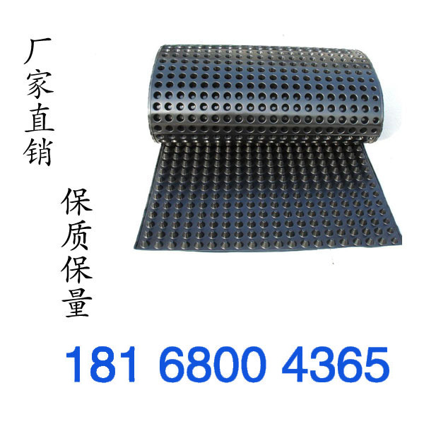 ˮݵ۸18168004365