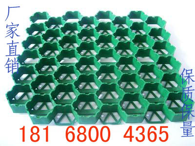 ֱ18168004365ֲݸ