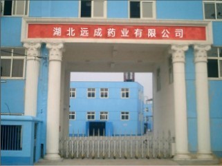 氯偏乳液 供应商