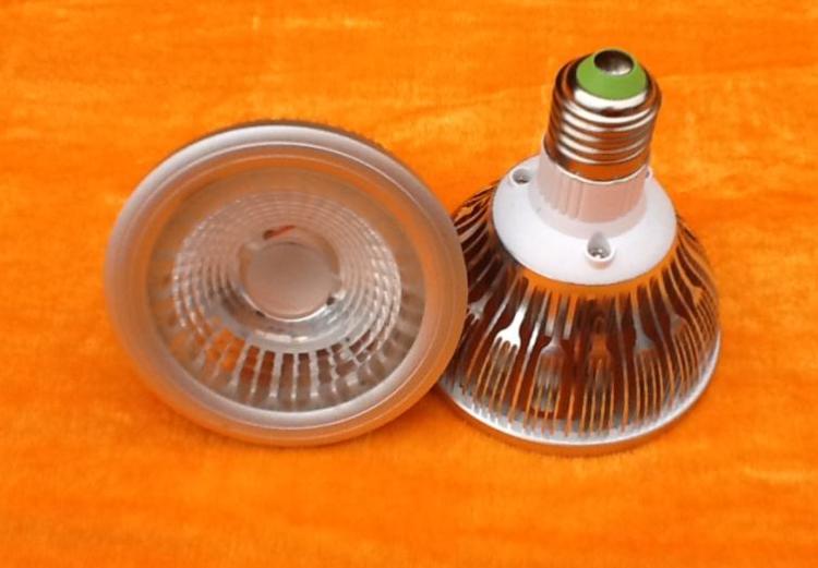 LEDPAR3030W
