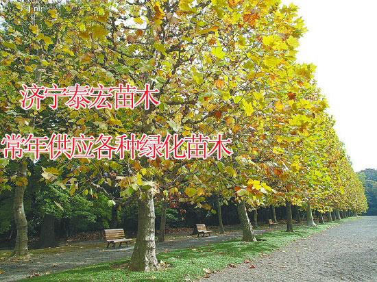 ۽Ͼ10ַͩ۸