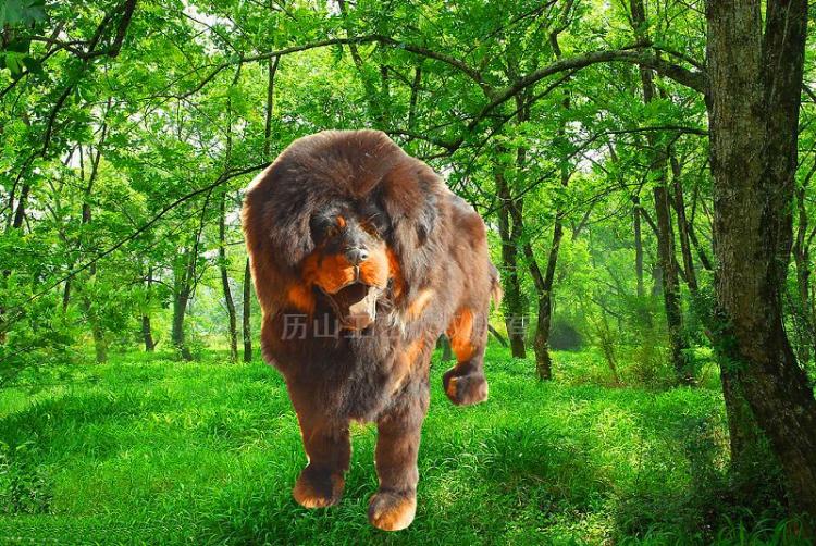 ǹë