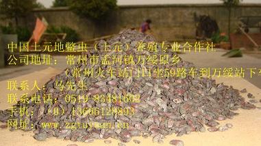 лԪӽ2š硢