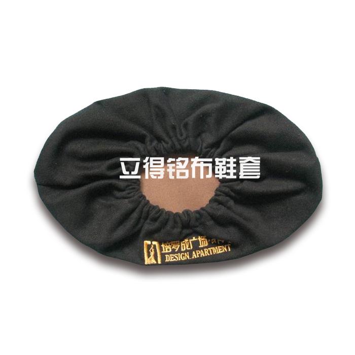 칫ҲЬ(LDM)