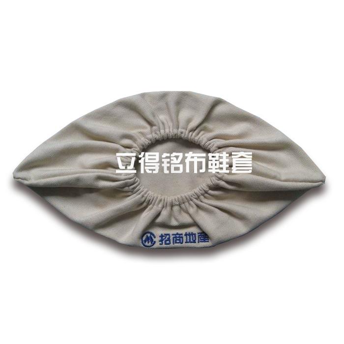 ۲Ь(LDM)