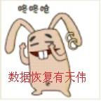 SeagateӲݻָ