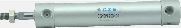 CG1BNϵ