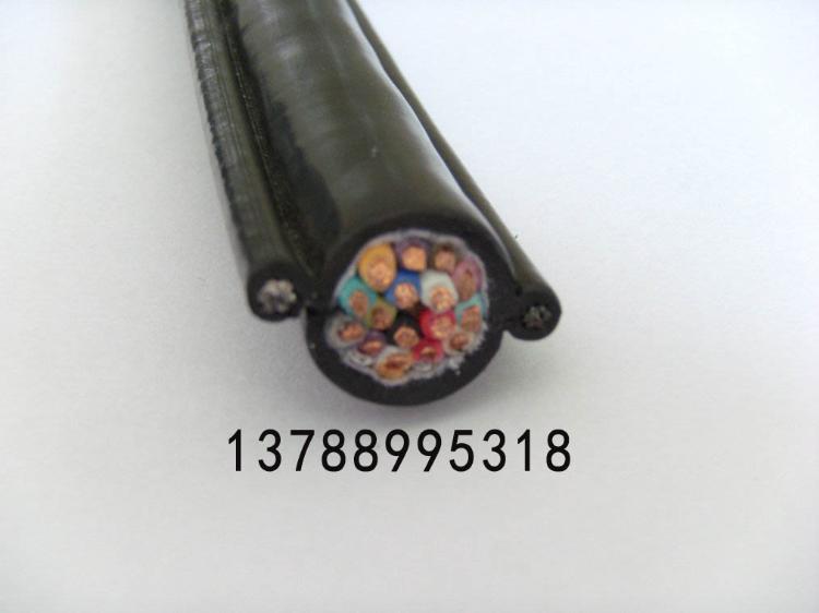 行车手柄电缆线RVVG,RVV2G