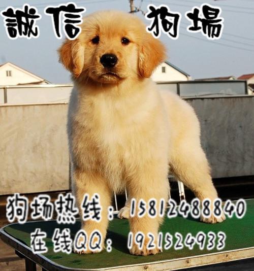 ļҹ۽ëݳŹ