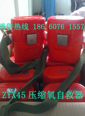 ZYX45ѹԾʷ꾮