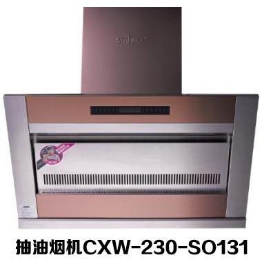 ˧̫*(CXW-230-SO131)