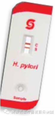 ݸ˾ֽ(ݸ˾ֽ)