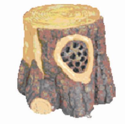 ƺ죨׮
