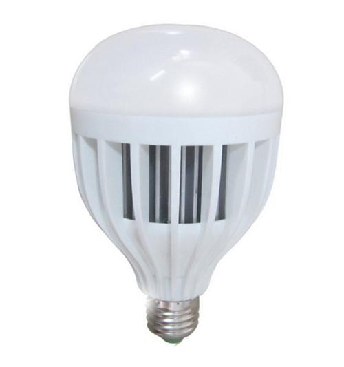 LED