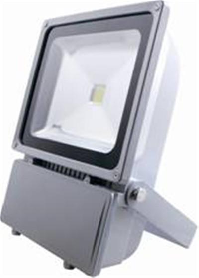LEDͶ100W