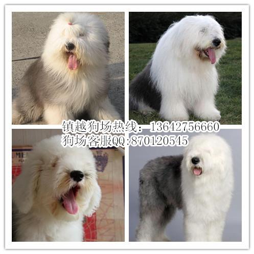 ŴȮݹȮг