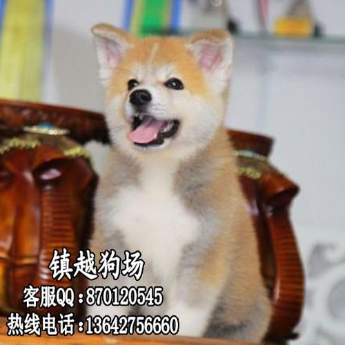 ֲȮݲȮŶǮ