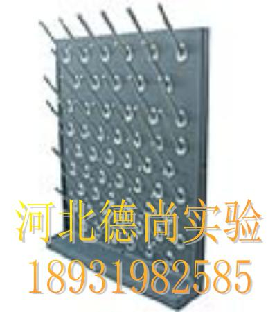 ʵ(DS-6)