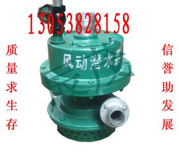 FWQB60-25ú÷綯Ǳˮ