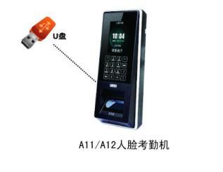 A11(A11)