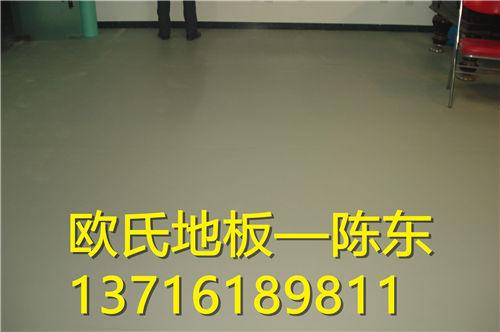 呼和浩特乒乓球地板欧氏地板胶