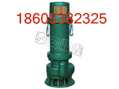 BQS25-10-2.2÷Ǳˮ