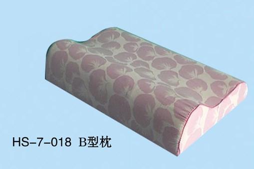 B(HS-7-018)