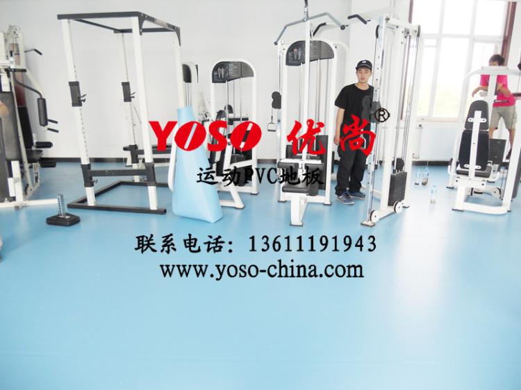 健身房地板(斑点纹,木纹)