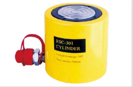 ǧﶥʽRSC-301ǧﶥ