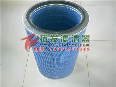طӦP191281ɭͲ
