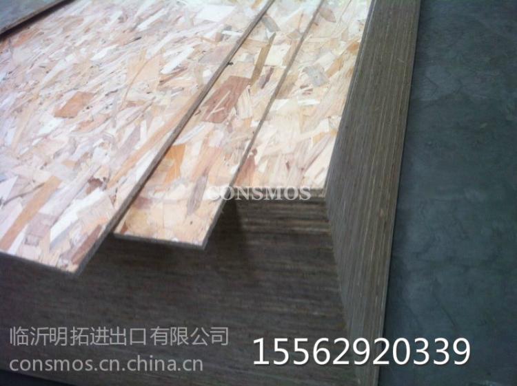 OSB2-9mmװŷɰ
