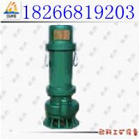 BQS15-22-2.2Ǳˮ