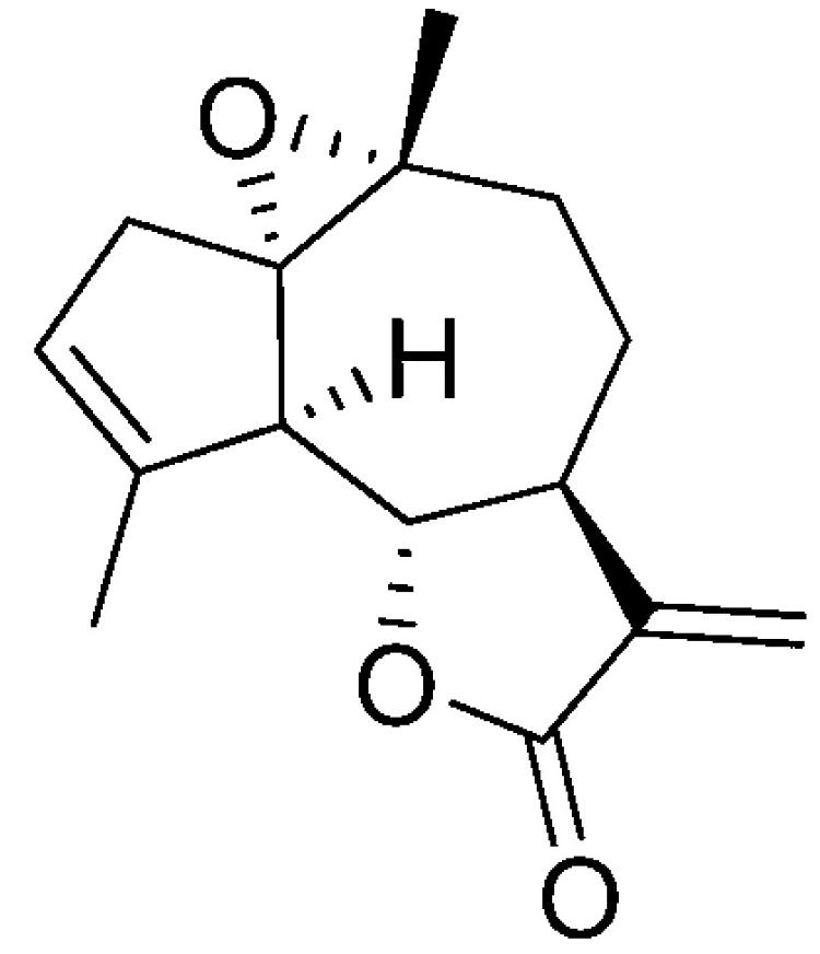 MesatlantinCС׾